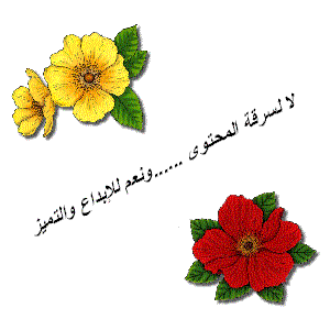 روح العب بعيد يا شاطر Untitled-11
